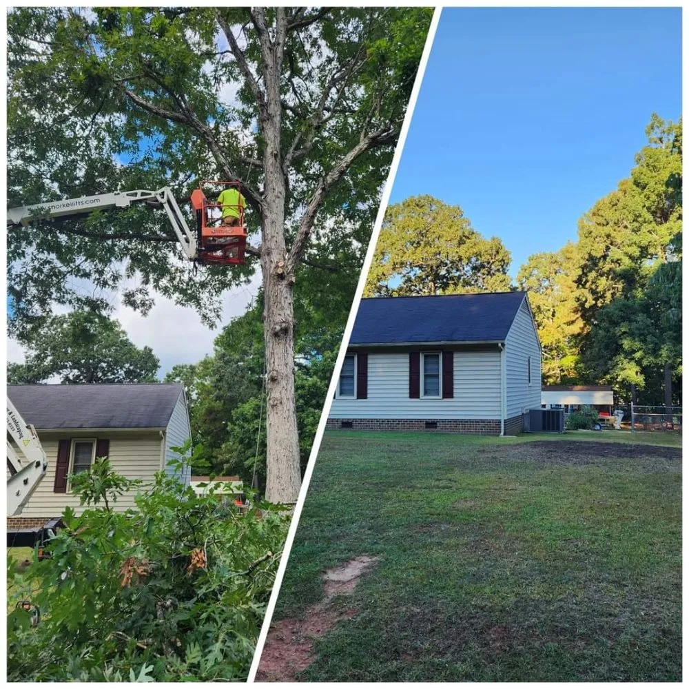 Professional lawn care service for homes across Roanoke Rapids, NC - Jr's Tree & Landscaping