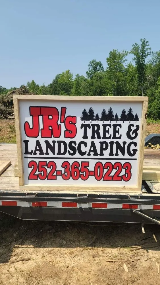 Expert yard cleanup service for year-round maintenance in Roanoke Rapids, NC by Jr's Tree & Landscaping