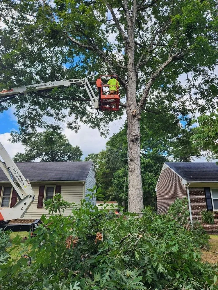 Professional landscape design near you in Roanoke Rapids, NC by Jr's Tree & Landscaping