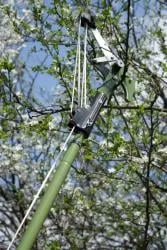 Custom garden landscaping in Pasadena, CA - JR's Tree Service & Landscape