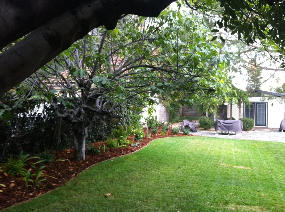 Custom landscape design experts serving Pasadena, CA - JR's Tree Service & Landscape