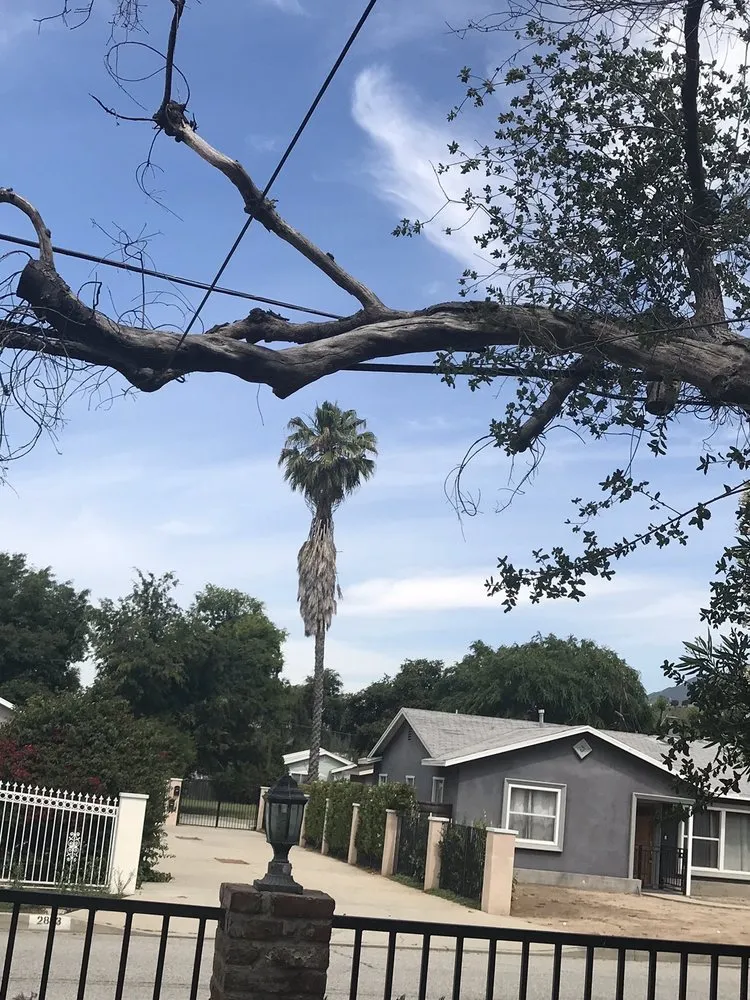 Trusted landscape design for homes across Pasadena, CA - JR's Tree Service & Landscape