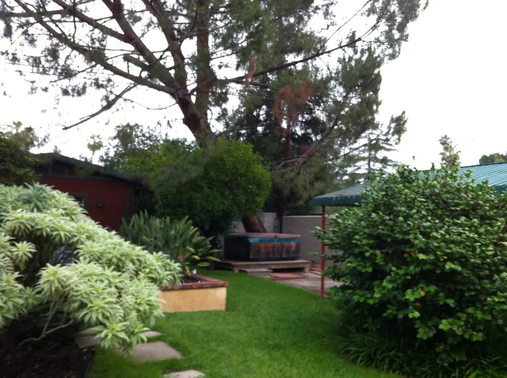 Professional outdoor landscaping in Pasadena, CA - JR's Tree Service & Landscape