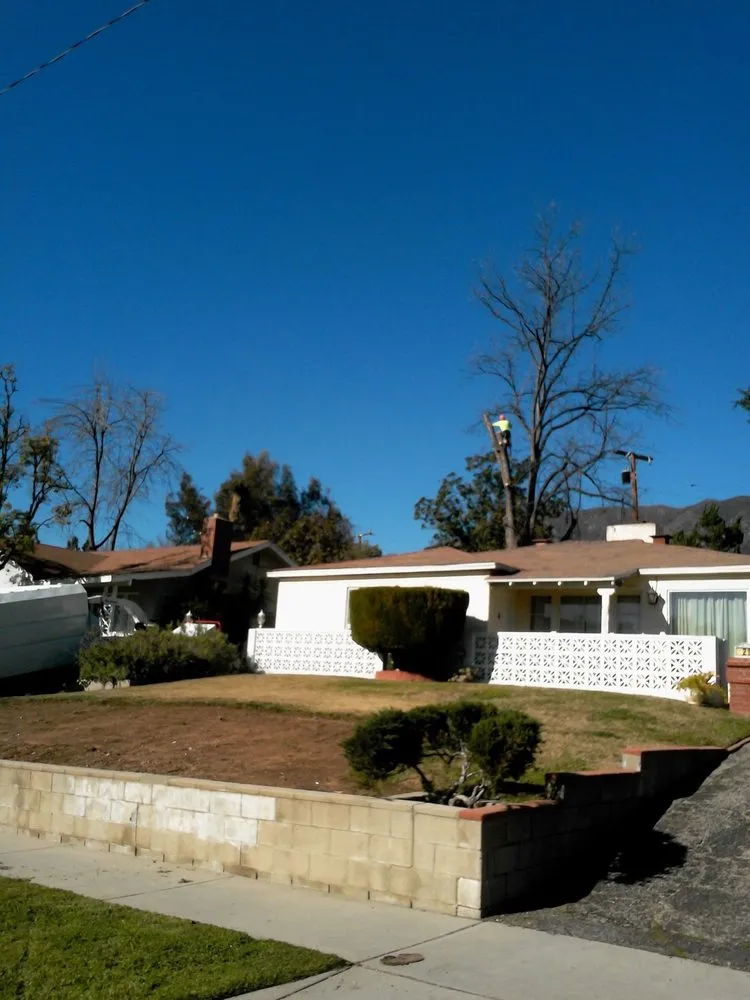 Custom yard cleanup service for outdoor upgrades in Pasadena, CA by JR's Tree Service & Landscape