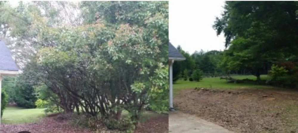 Professional outdoor landscaping for residential properties across Glens Falls, NY - JR's Tree Service and Lawncare