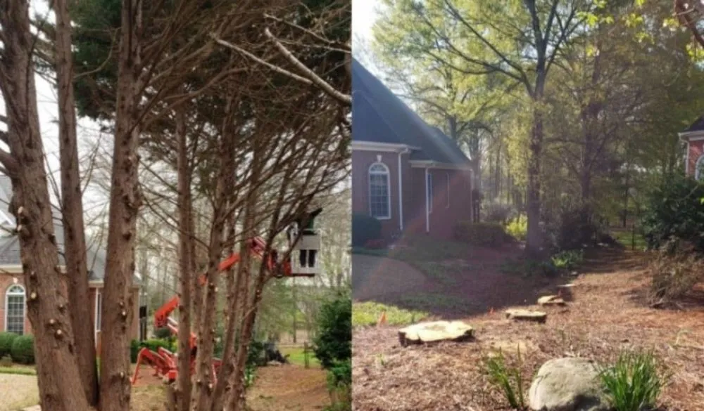 Reliable residential landscaping for outdoor upgrades across Glens Falls, NY - JR's Tree Service and Lawncare