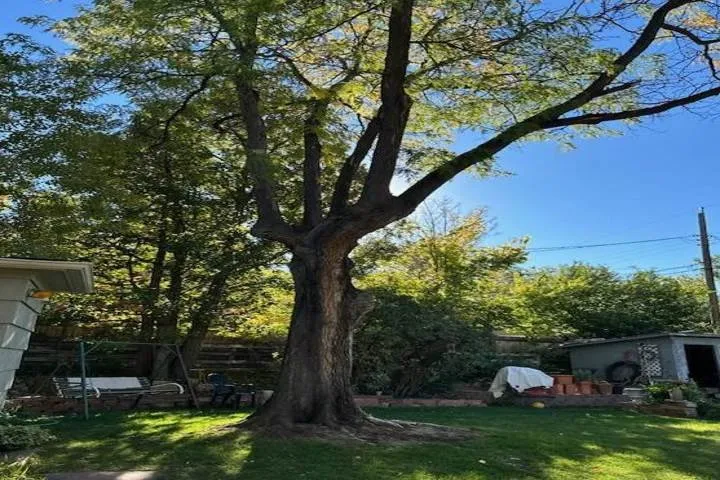 Top-rated landscape installation for beautiful yards in Aurora, CO by Jr's Tree Services