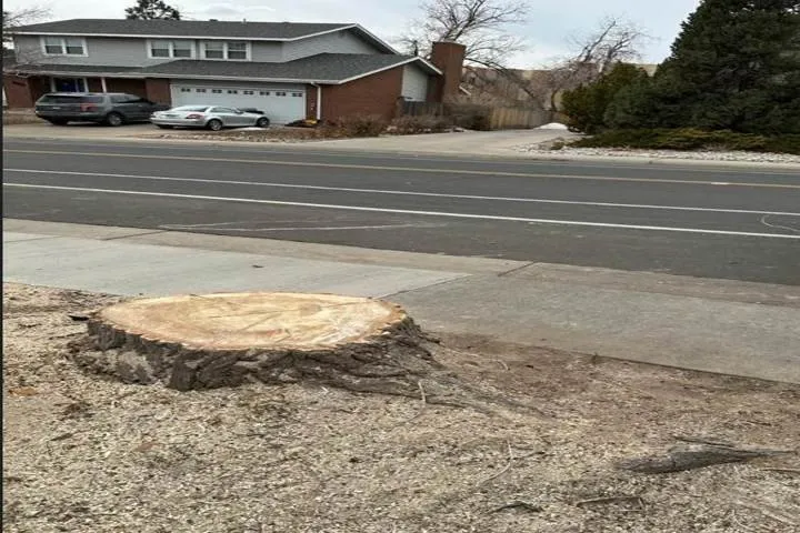 Expert lawn mowing service for homes across Aurora, CO - Jr's Tree Services