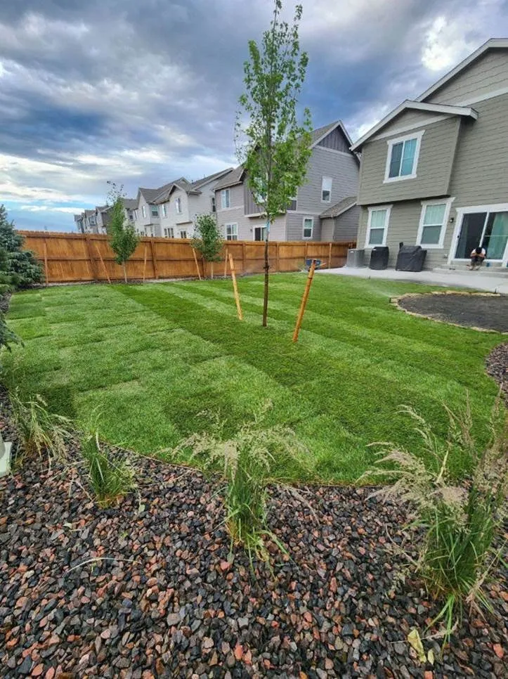 Expert yard maintenance in Aurora, CO by Jr's Tree Services