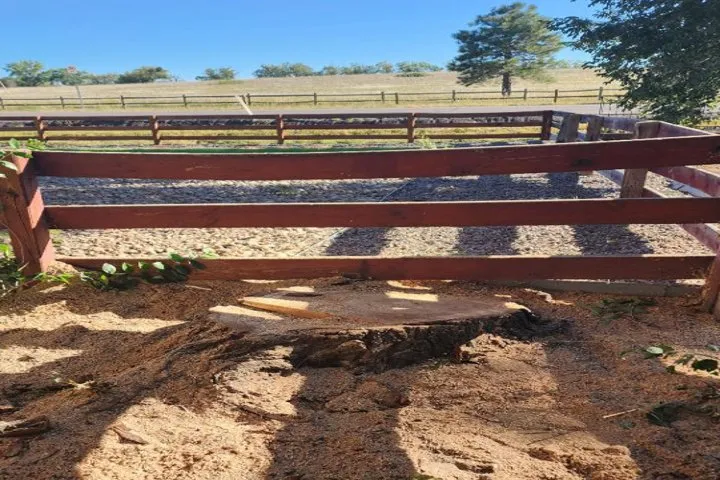 Professional lawn care service in Aurora, CO by Jr's Tree Services