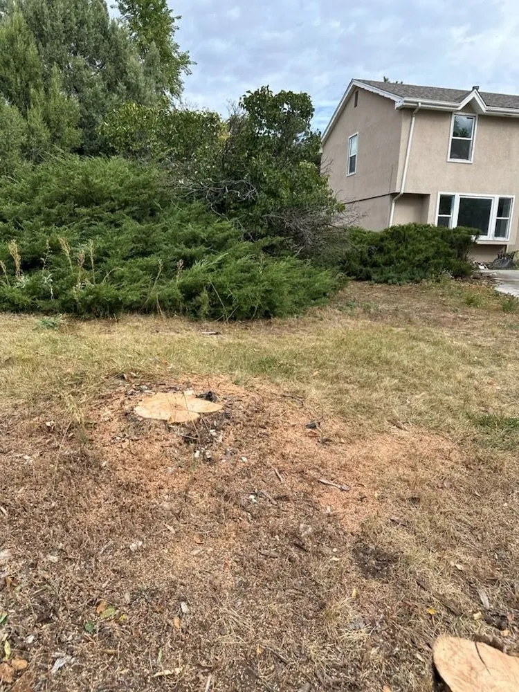 Trusted yard maintenance in Aurora, CO by Jr's Tree Services