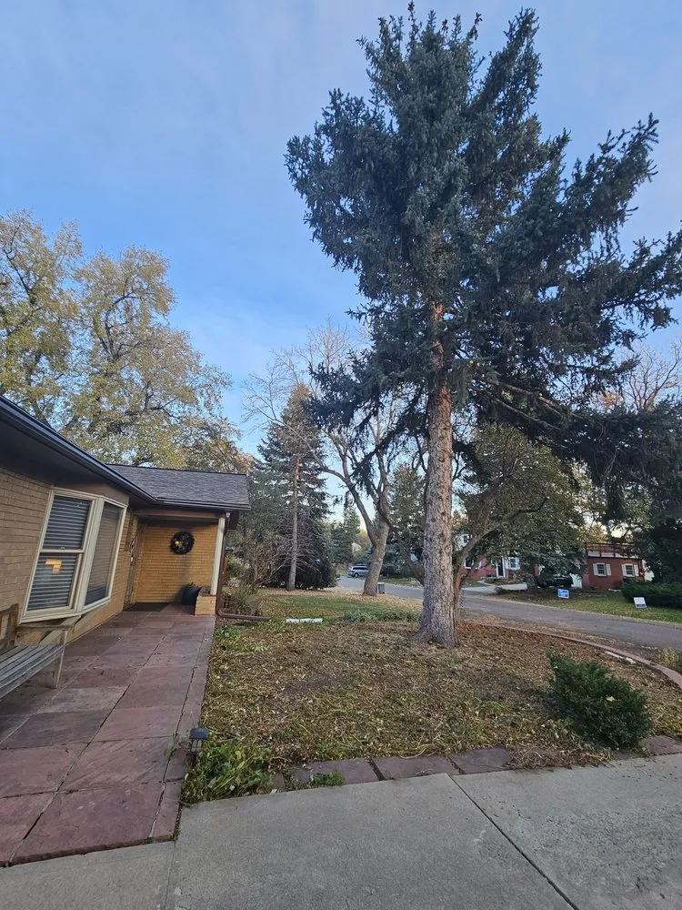 Top-rated garden landscaping in Aurora, CO by Jr's Tree Services