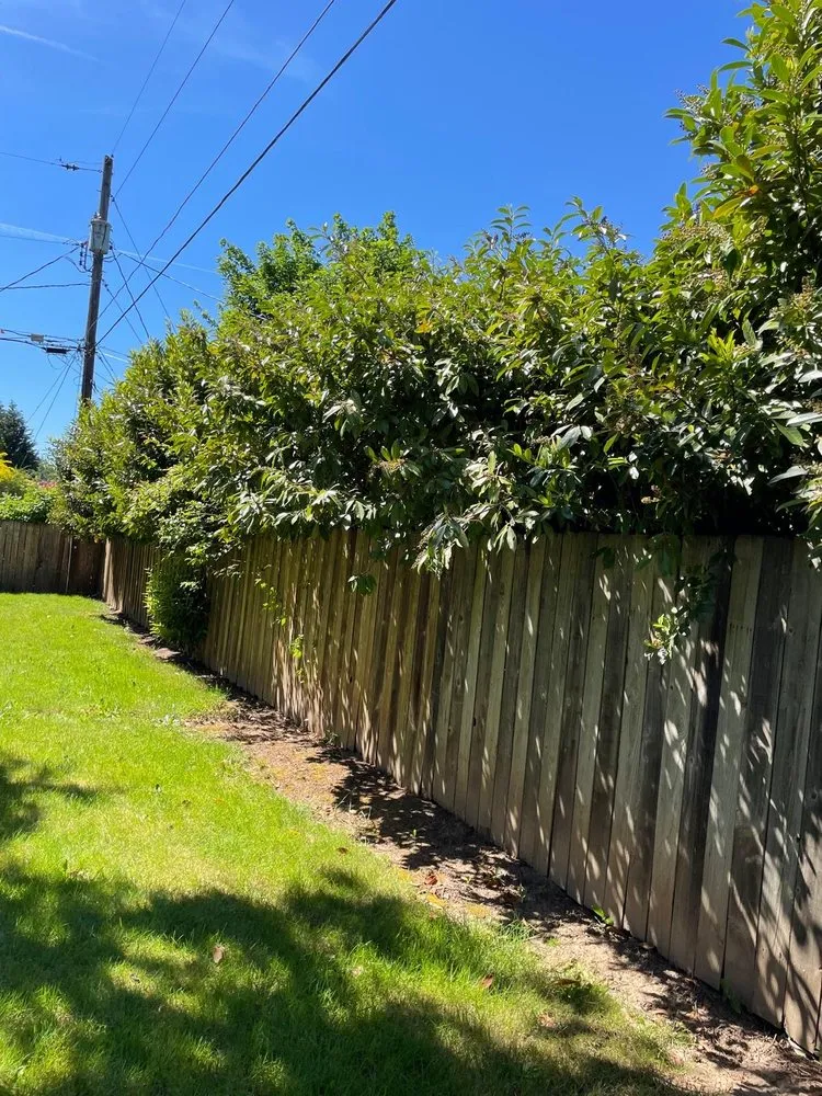 Affordable lawn care service experts serving Portland, OR - J.R's Yard Cleaning and Landscaping