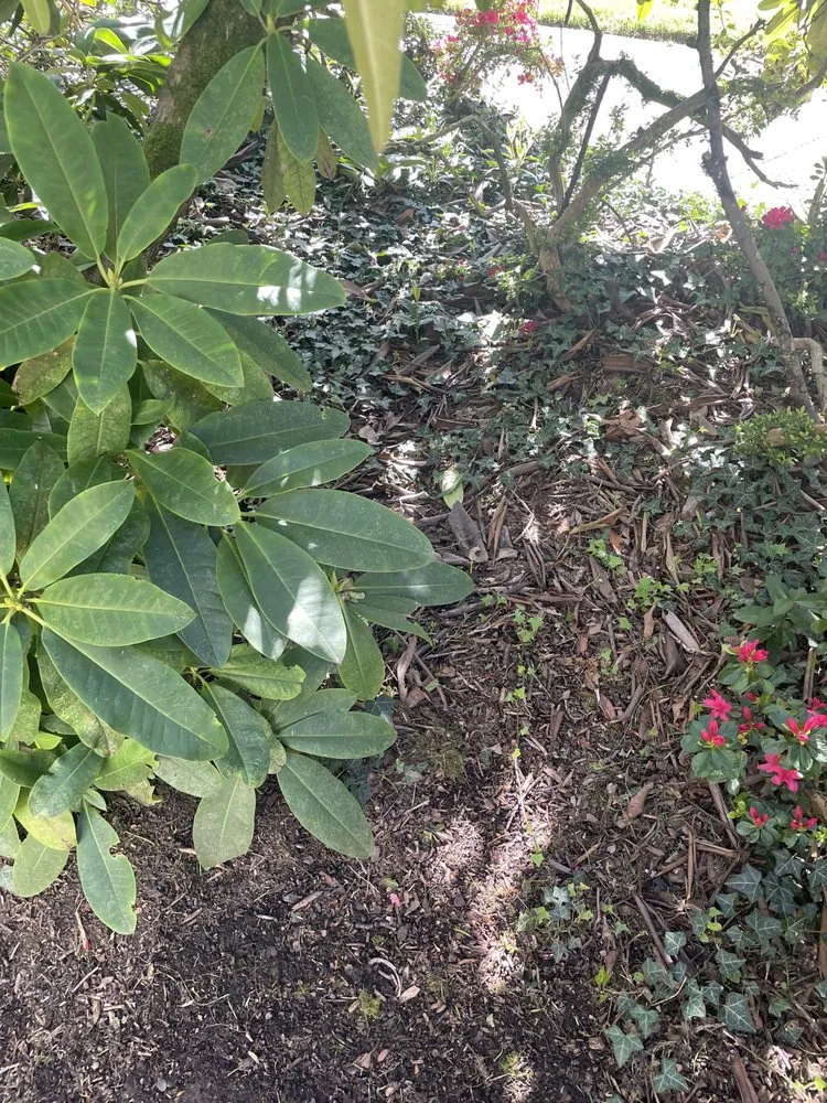 Professional landscaping services in Portland, OR by J.R's Yard Cleaning and Landscaping