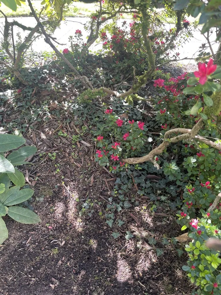 Local garden landscaping for outdoor upgrades across Portland, OR - J.R's Yard Cleaning and Landscaping