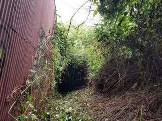 Reliable yard cleanup service experts serving Portland, OR - J.R's Yard Cleaning and Landscaping