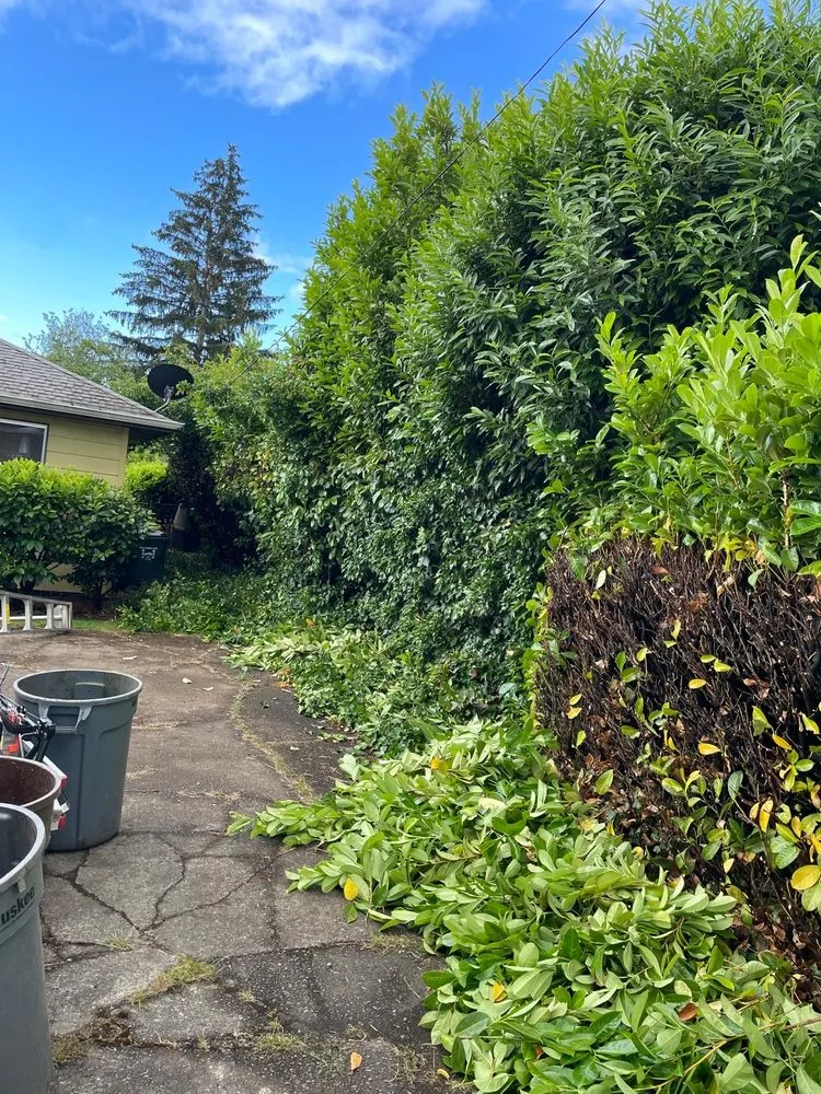 Local landscape design experts serving Portland, OR - J.R's Yard Cleaning and Landscaping