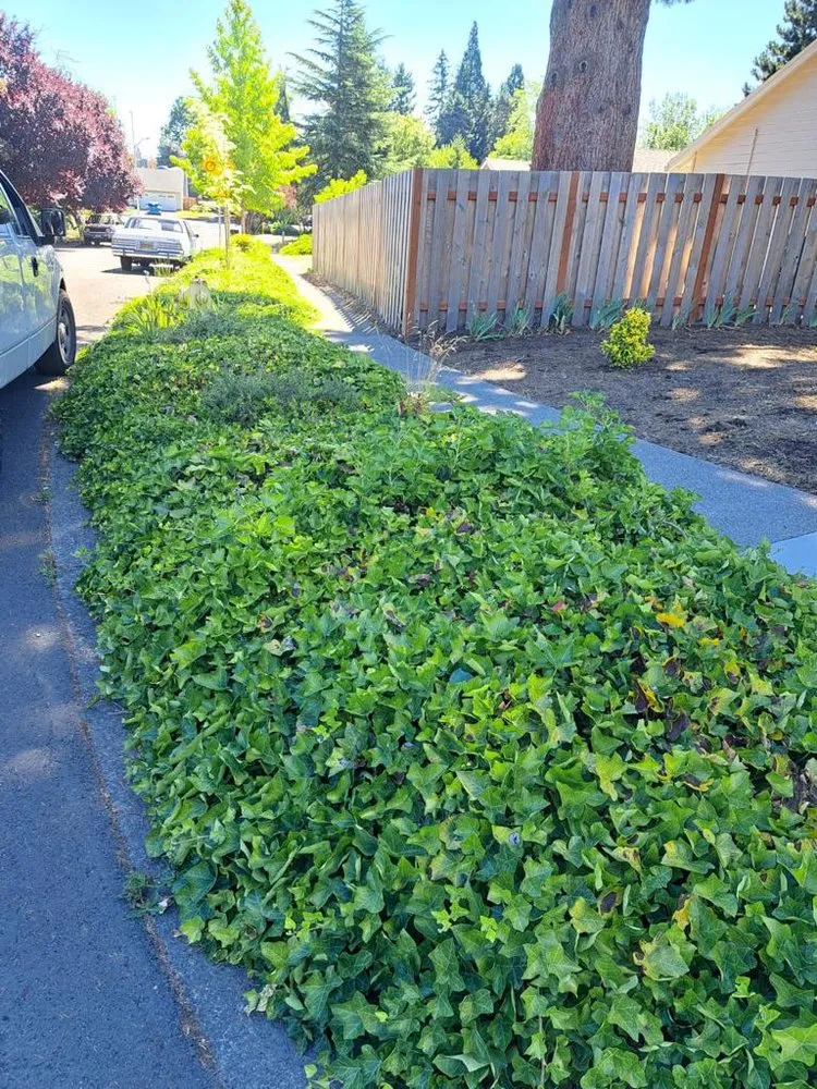 Professional lawn mowing service for beautiful yards across Portland, OR - J.R's Yard Cleaning and Landscaping