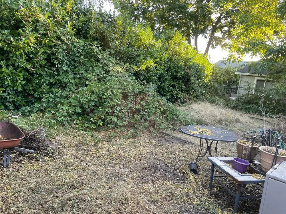 Affordable residential landscaping in Portland, OR by J.R's Yard Cleaning and Landscaping