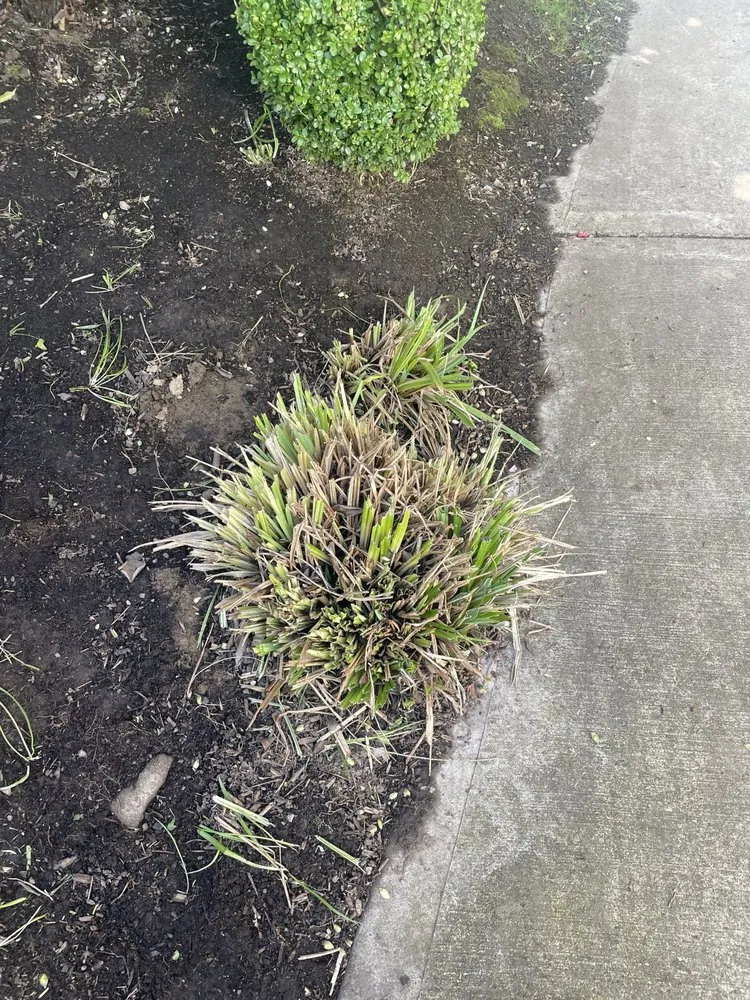 Local residential landscaping in Portland, OR by J.R's Yard Cleaning and Landscaping