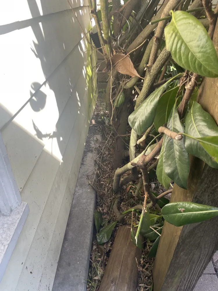 Expert yard cleanup service experts serving Portland, OR - J.R's Yard Cleaning and Landscaping