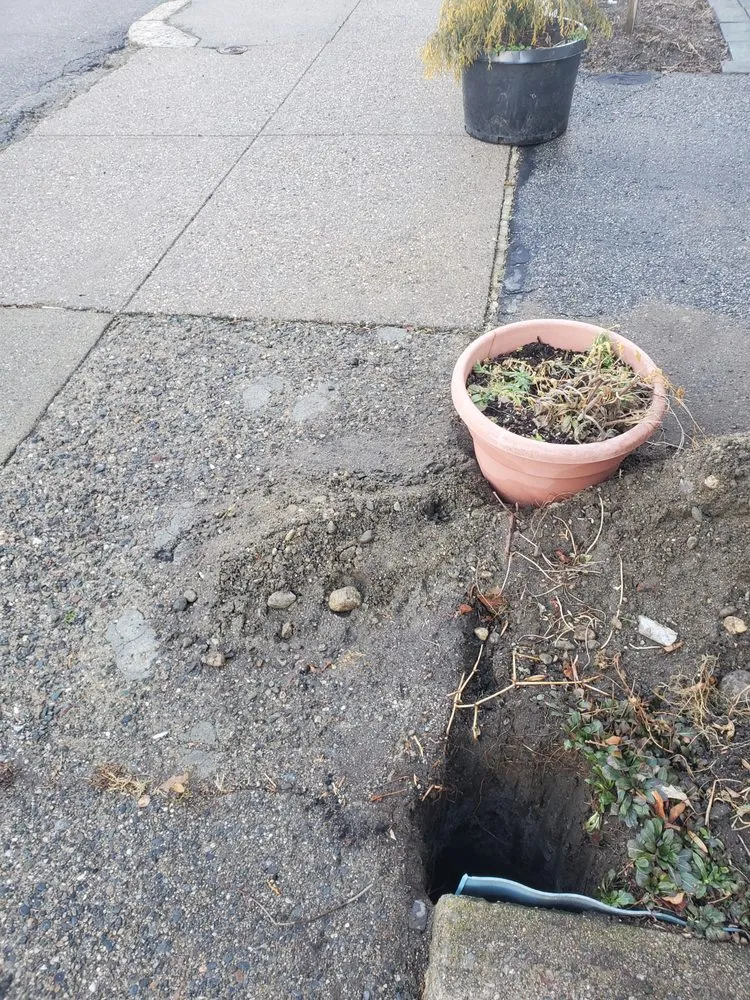 Local lawn care service experts serving Providence, RI - JRV Construction