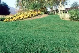 Custom yard cleanup service for residential properties in Providence, RI by JRV Construction