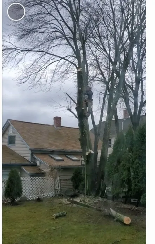 Custom lawn care service experts serving Providence, RI - JRV Construction