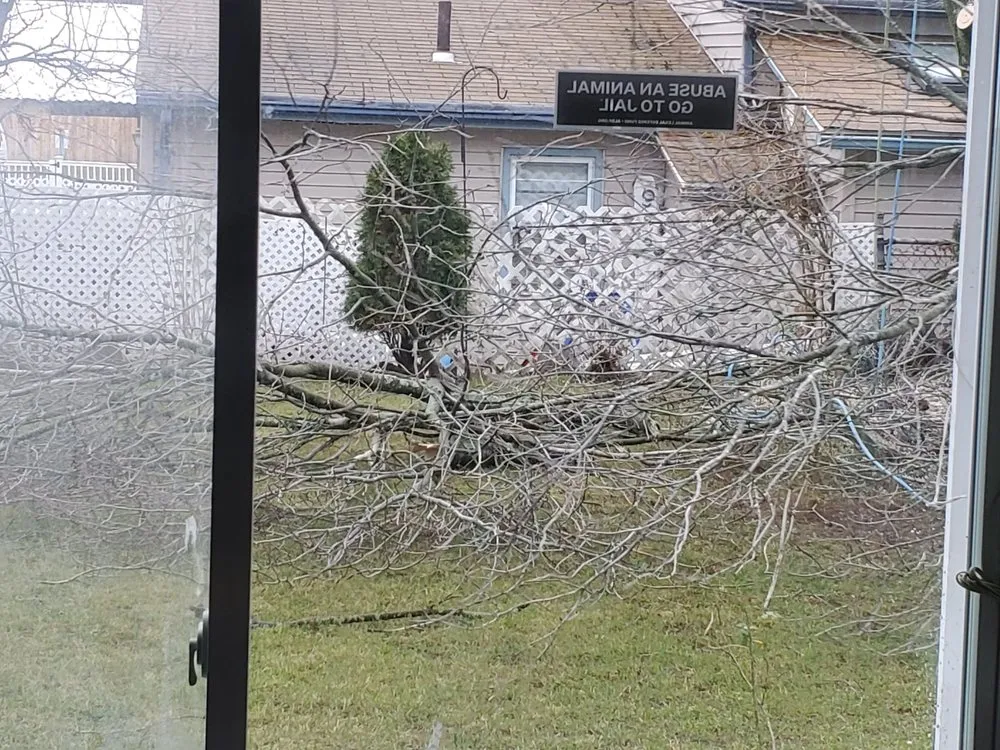 Trusted landscaping services in Providence, RI by JRV Construction