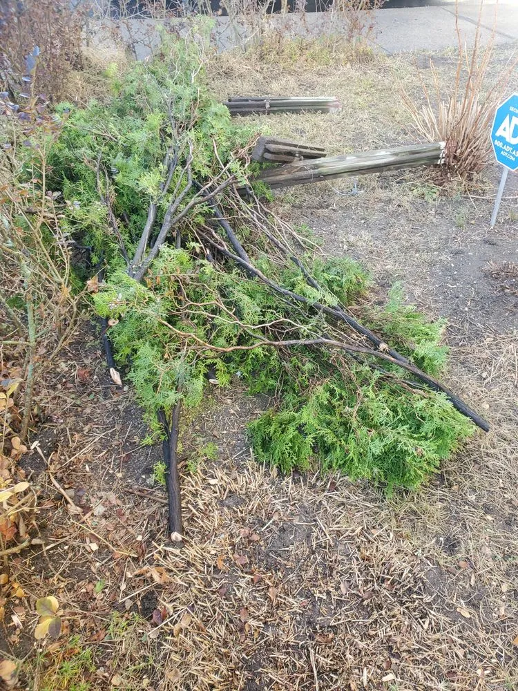 Trusted lawn care service with custom design in Providence, RI by JRV Construction