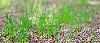 Reliable landscape design in Providence, RI - JRV Construction