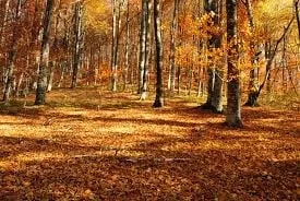 Reliable outdoor landscaping for year-round maintenance across Providence, RI - JRV Construction