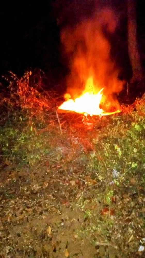 Trusted landscaping services in Fayetteville, TN - Jrwsonhomeimprovement