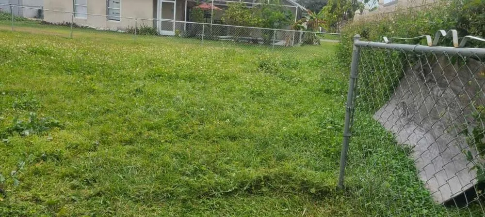 Professional lawn care service in Kissimmee, FL by JRY Lawn Care Services