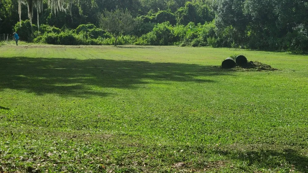 Top-rated landscaping services for year-round maintenance in Kissimmee, FL by JRY Lawn Care Services