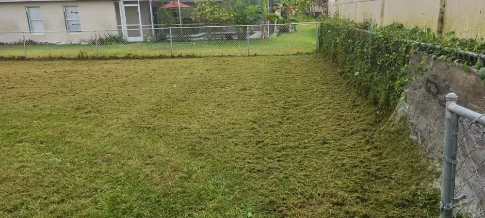 Expert residential landscaping for year-round maintenance in Kissimmee, FL by JRY Lawn Care Services