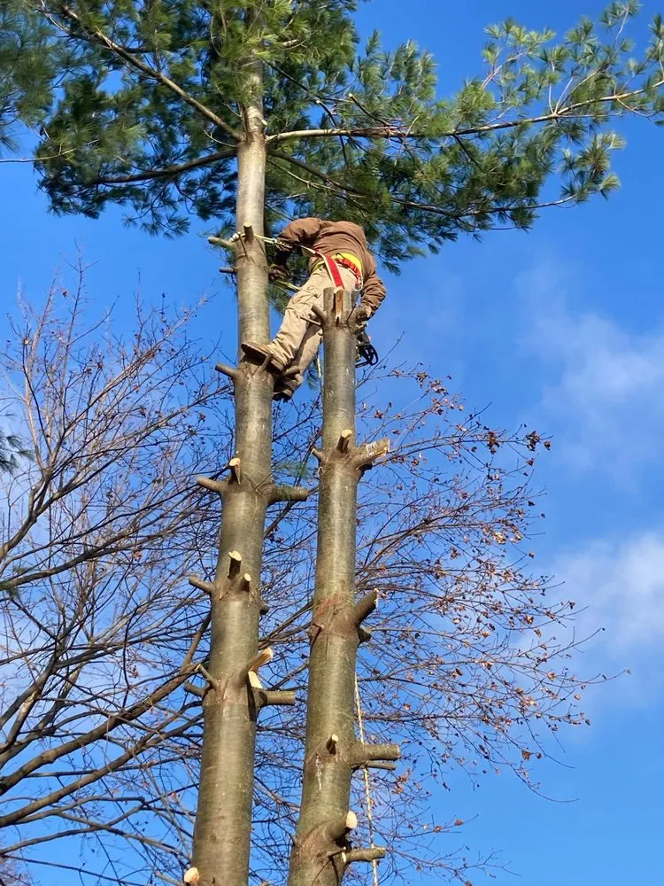 Reliable yard maintenance for outdoor upgrades in Harvard, IL by JRZ Landscaping