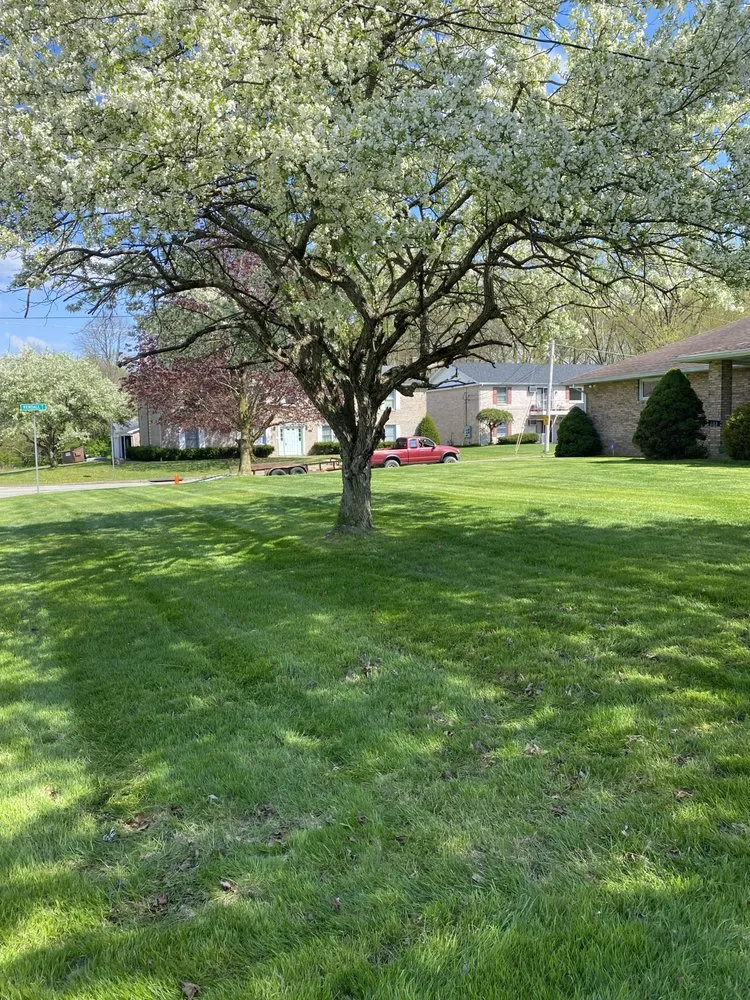 Custom lawn mowing service experts serving Struthers, OH - JS & M Lawn Care