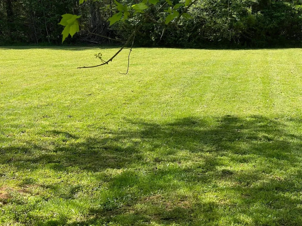 Expert landscape installation for outdoor upgrades in Loganville, GA by J’s A-1 Lawn Service