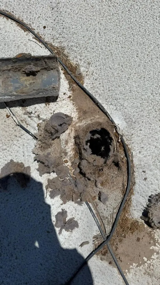 Professional lawn care service in Gilbert, AZ by J's Air Duct Cleaning Services