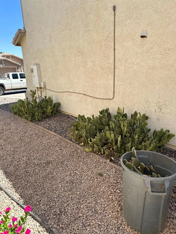 Professional lawn mowing service with custom design in Gilbert, AZ by J's Air Duct Cleaning Services