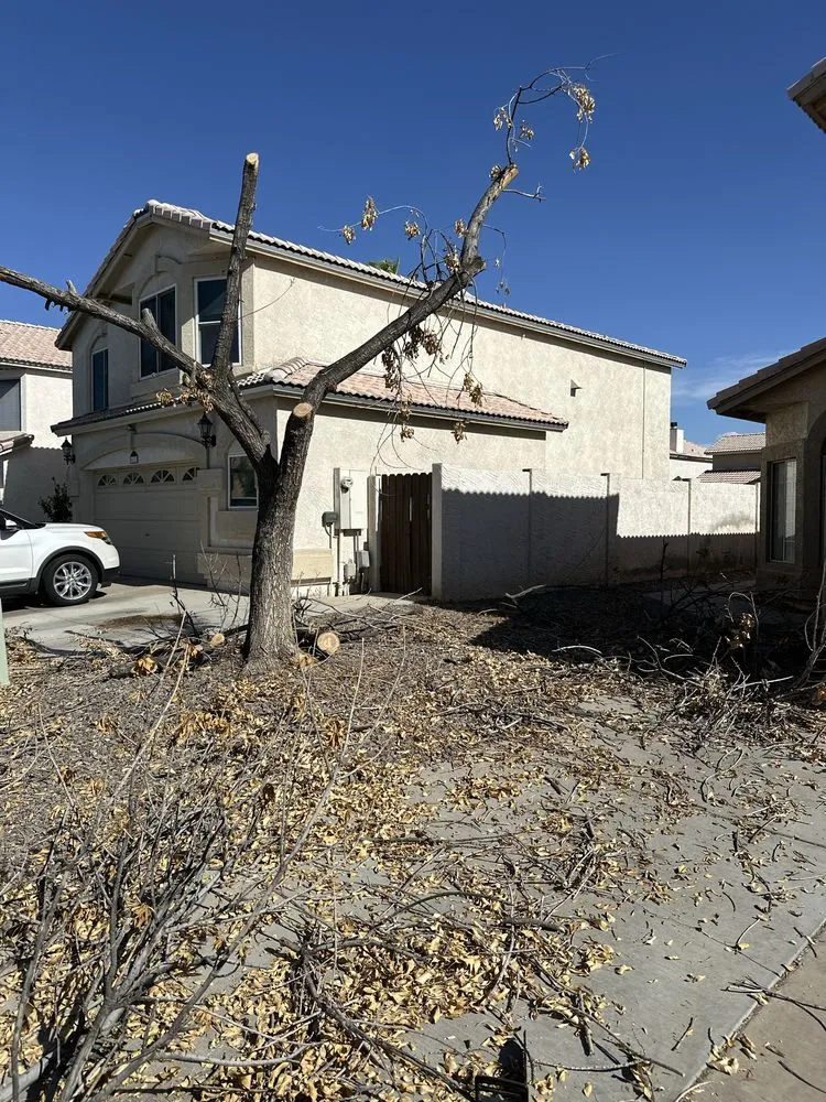 Trusted lawn care service in Gilbert, AZ - J's Air Duct Cleaning Services