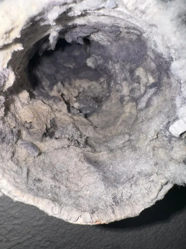 Affordable residential landscaping experts serving Gilbert, AZ - J's Air Duct Cleaning Services