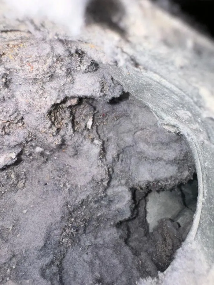 Reliable landscape design for year-round maintenance in Gilbert, AZ by J's Air Duct Cleaning Services