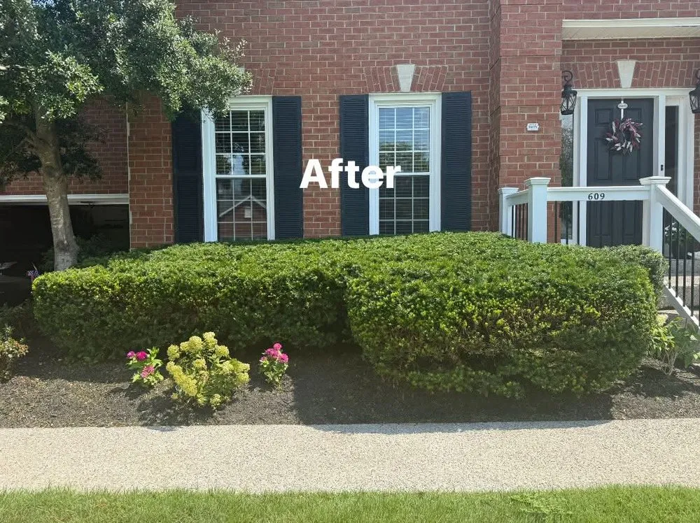Professional yard cleanup service for homes in Mt. Juliet, TN by J's All In One Service