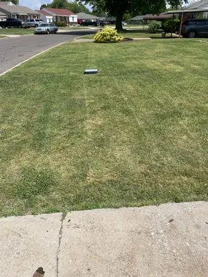 Js and Cs Lawncare Logo