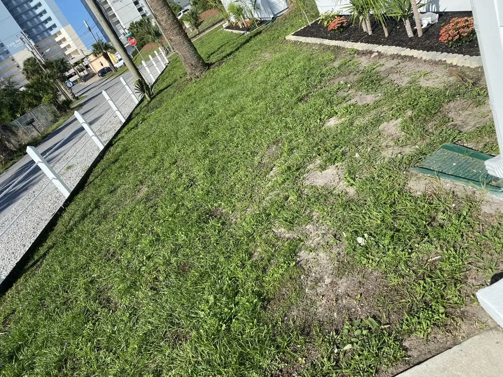 Expert landscaping services in Panama City, FL by J’s Away Landscaping & Junk Removal