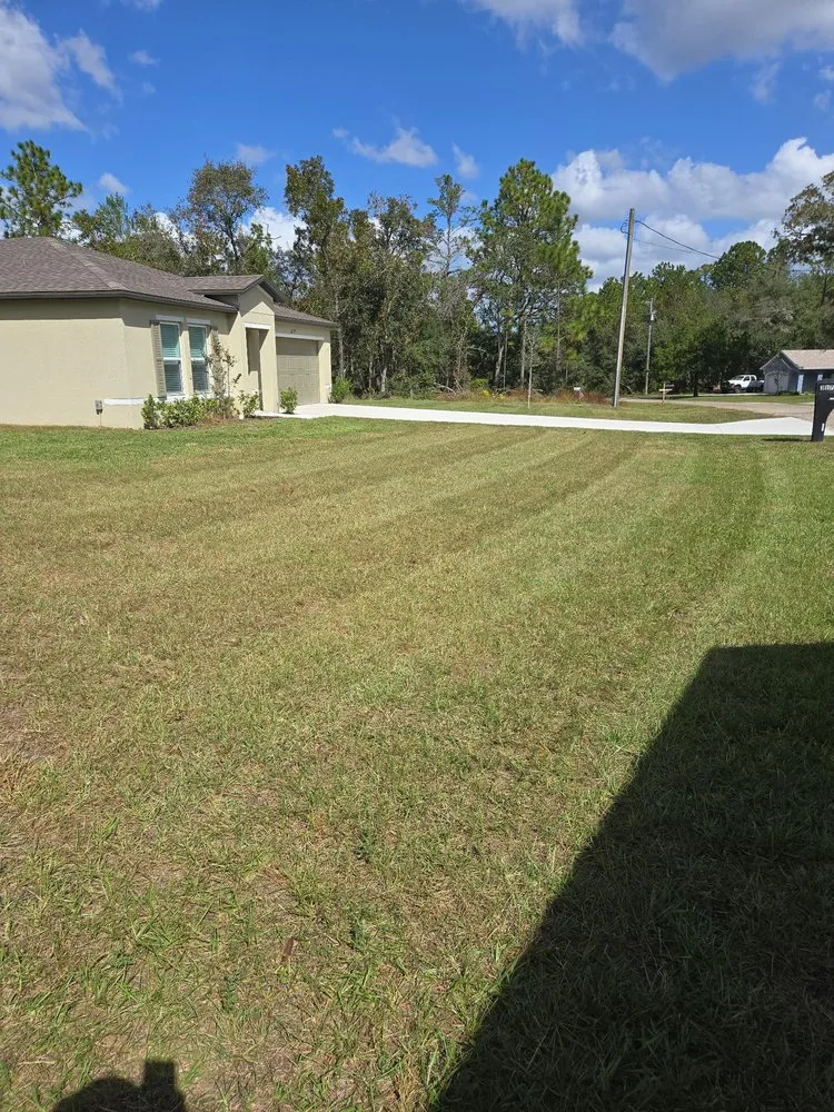 Custom landscaping services for beautiful yards across Citrus Springs, FL - JS Best Landscaping