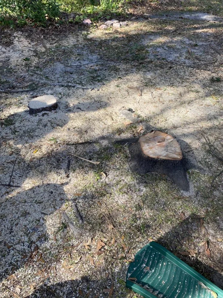 Expert garden landscaping experts serving Citrus Springs, FL - JS Best Landscaping