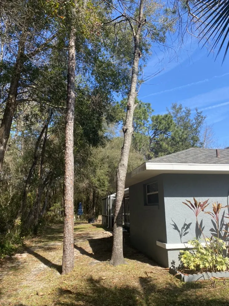 Affordable residential landscaping experts serving Citrus Springs, FL - JS Best Landscaping